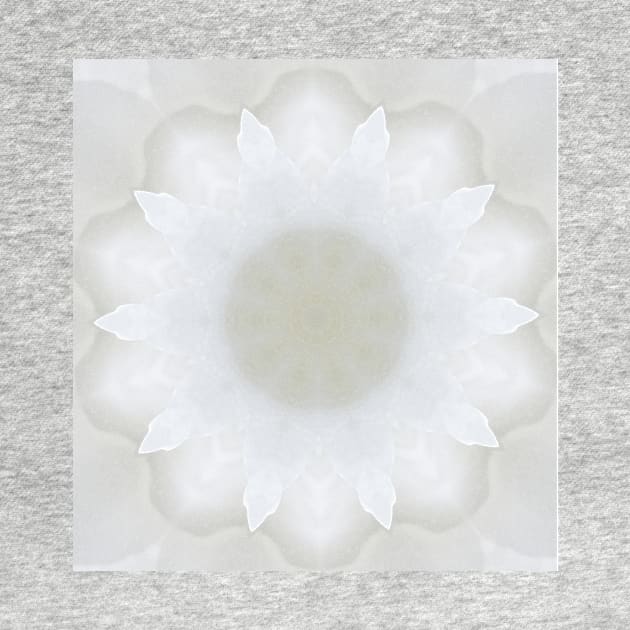 White Begonia Kaleidoscope by mariakeady